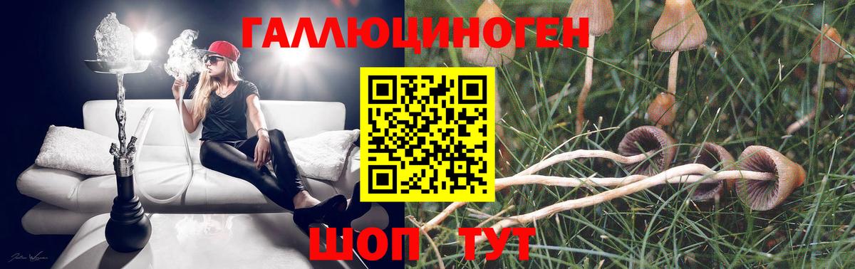 Псилоцибиновые грибы GOLDEN TEACHER Клин